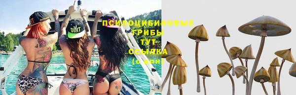 экстази Богородицк